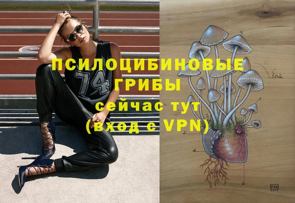 мяу мяу мука Волоколамск