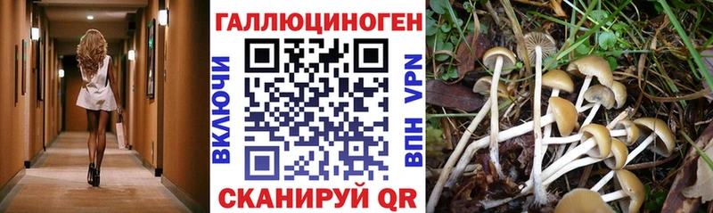 ОМГ ОМГ ONION  darknet телеграм  Галлюциногенные грибы Psilocybe  Первоуральск 